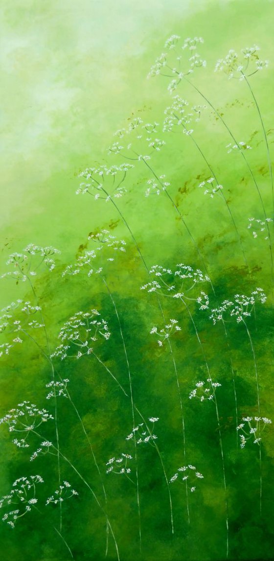 Cow Parsley on Green