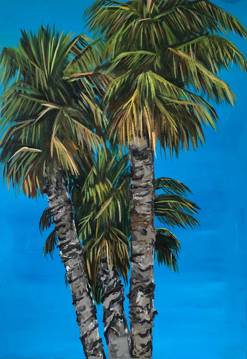Palm Trees by Kirstie Dedman