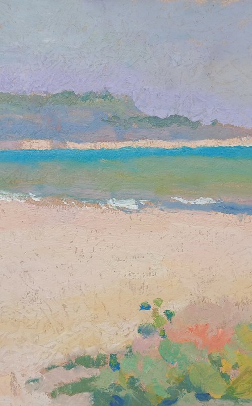 Wild Beach by Vasyl Koval