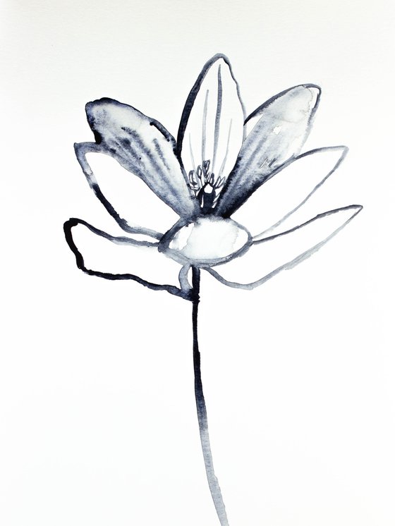 Bloodroot No. 7