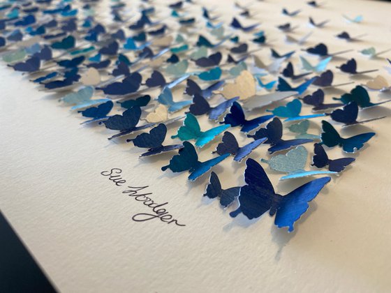 Butterflies - a study in blue