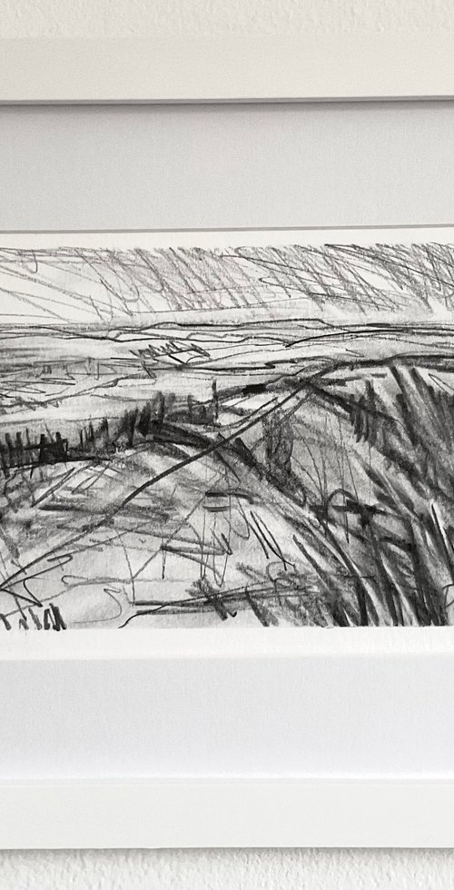 Landscape 3 by Steve Potts