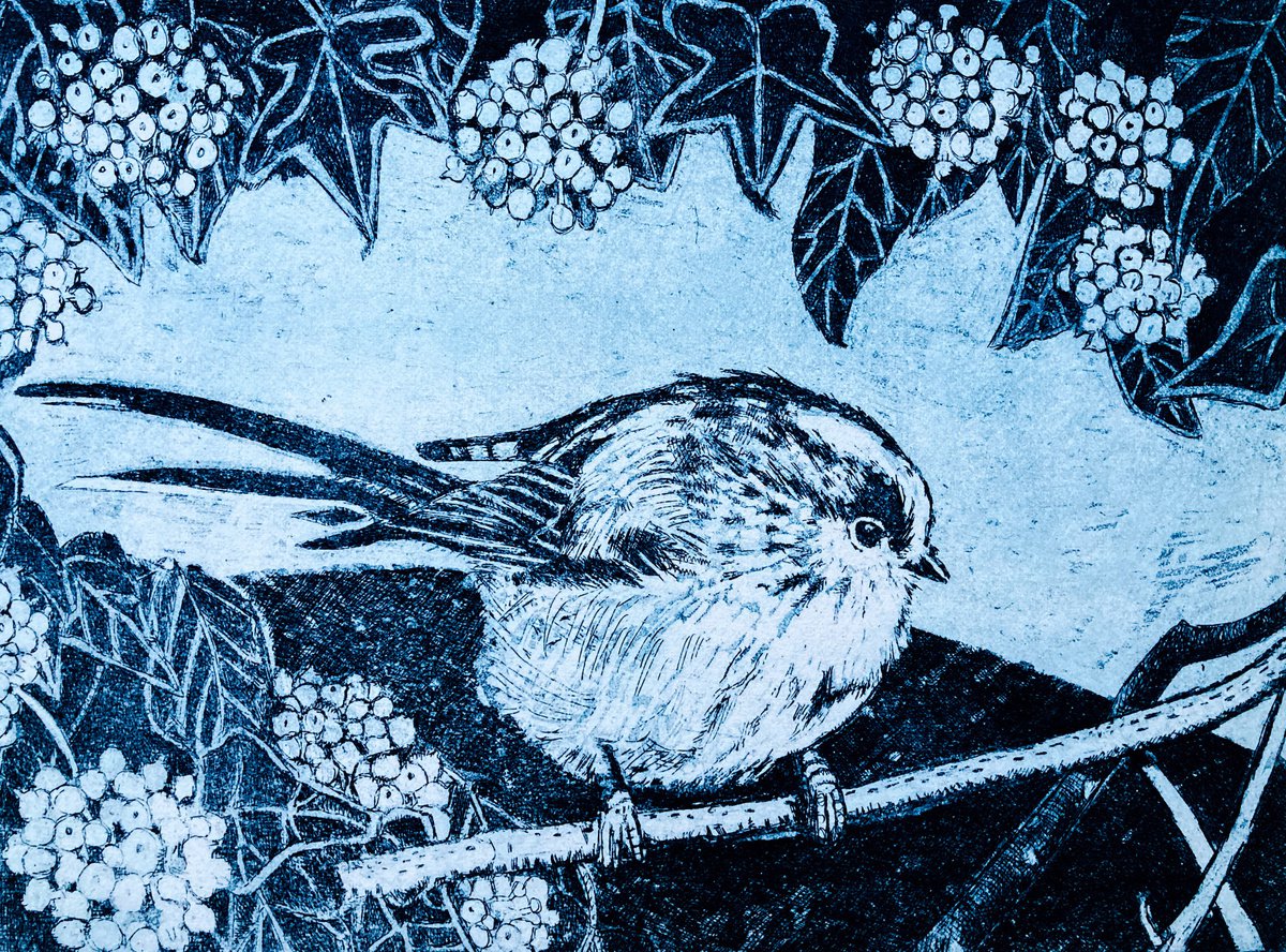 Illustrative Animal Etchings & Engravings By Janis Goodman, 12 X 9, My Boy Lollipop, Original Artwork