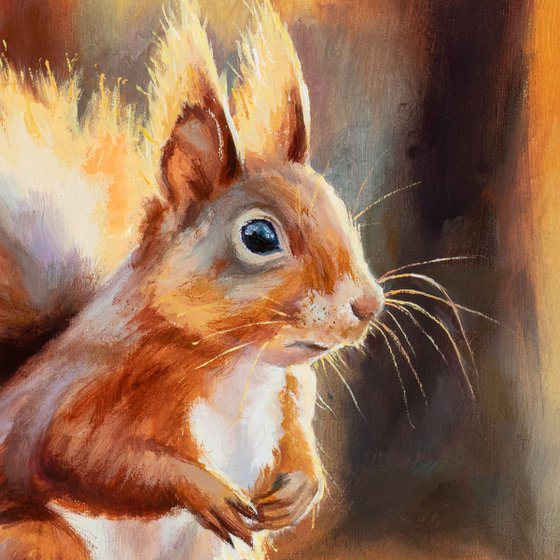 Red squirrel in autumn forest