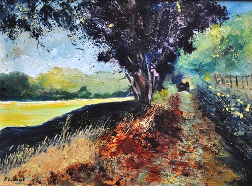 Summer path  in Gendron   -  6823 by Pol Henry Ledent