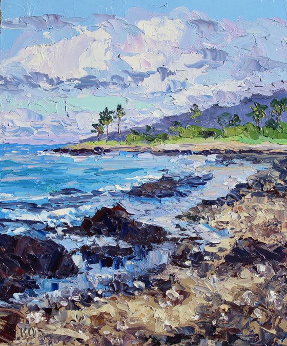 The Kohala Coast