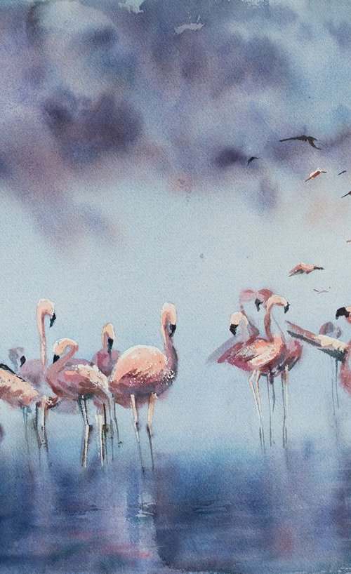 Flamingos by Sophie Rodionov