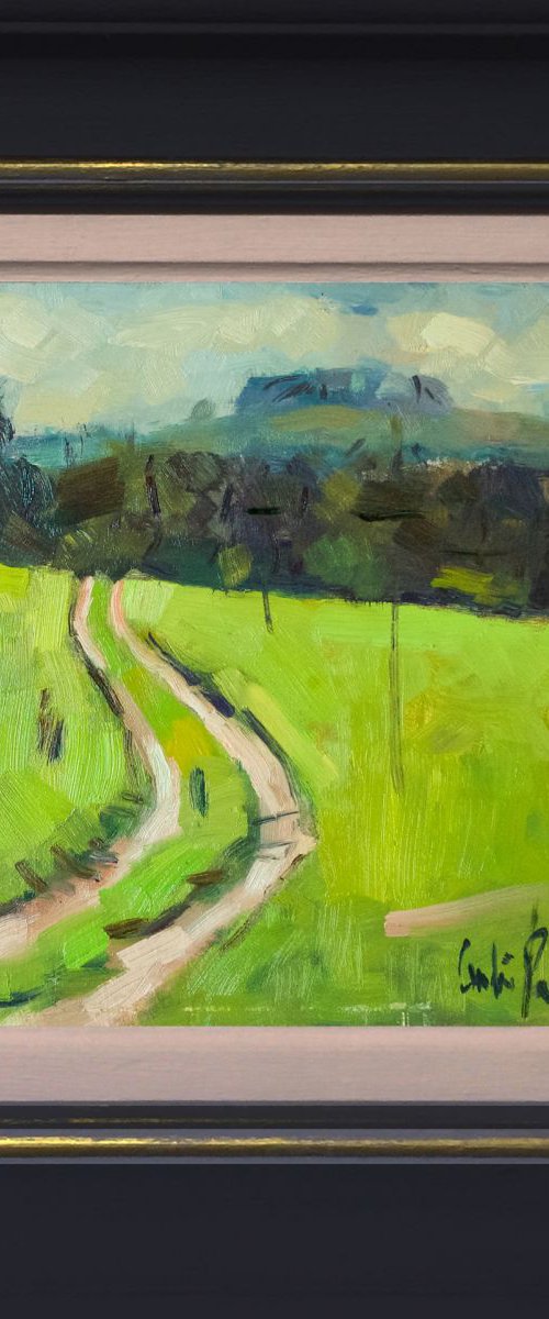 Farm Track on the way to Chanctonbury by Andre Pallat