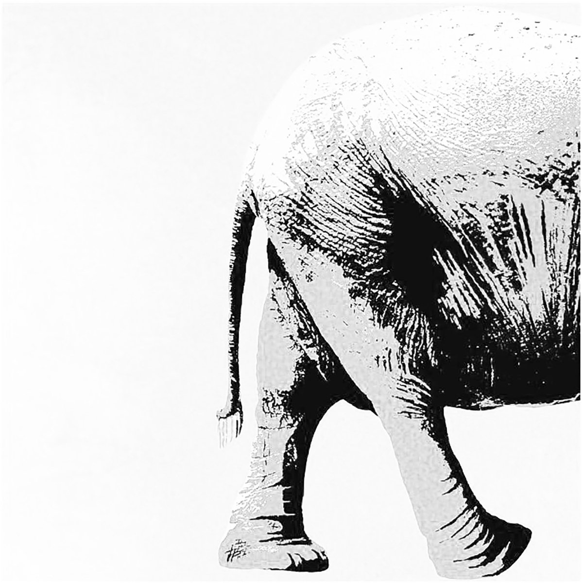 ELEPHANT - MODERN WALL ART by Nicolas GOIA