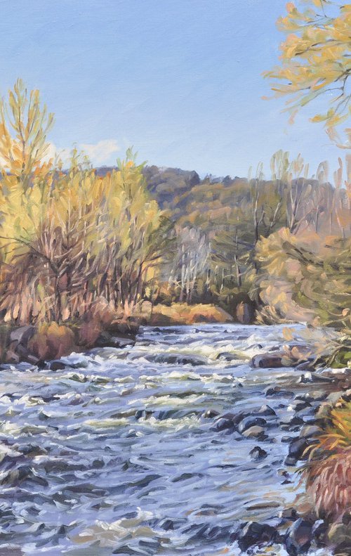 The Loire, autumn morning by ANNE BAUDEQUIN