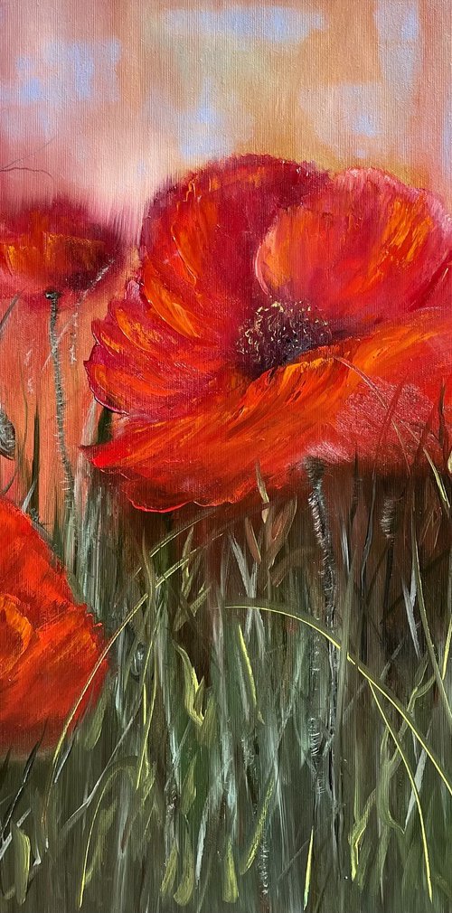 Fragility and originality - red poppy by Tanja Frost