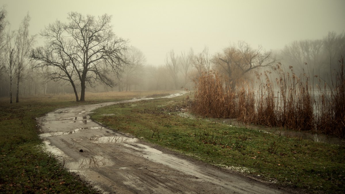 Foggy day by Vlad Durniev