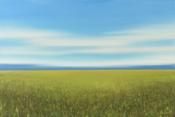 Green Field - Blue Sky Landscape