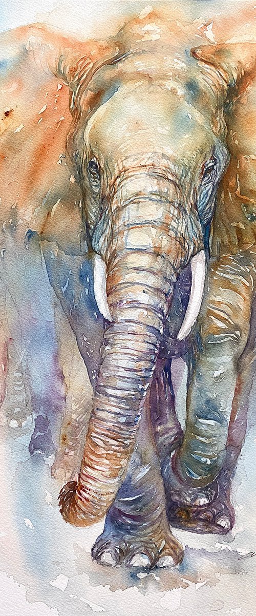 King Kobe_Elephant by Arti Chauhan