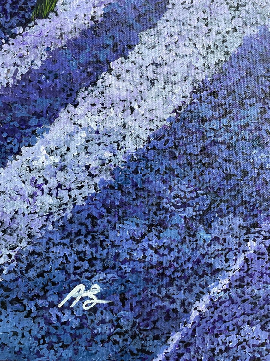  Purple Sunshine Ii By Anne Shaughnessy, 40 X 30, Artwork For Sale On Artfinder