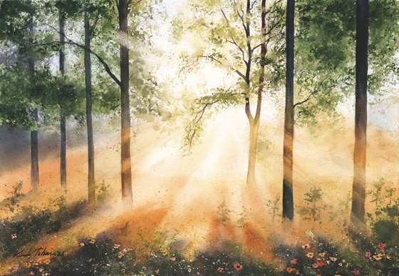 Morning Light in the Forest