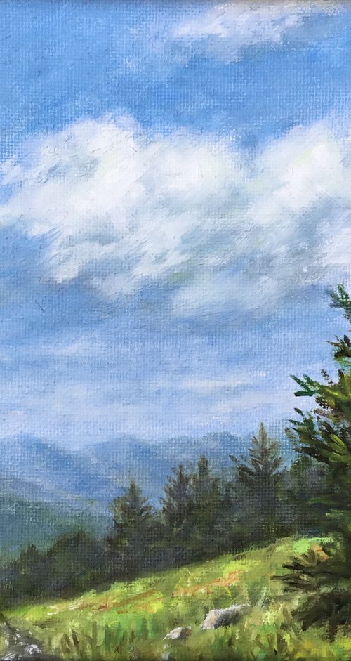 MOUNTAIN PINE # 5 - oil 8X10 by Kathleen McDermott