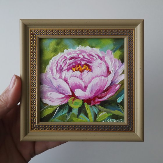 Peony