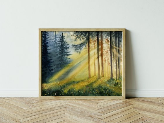 Sunlight in the forest