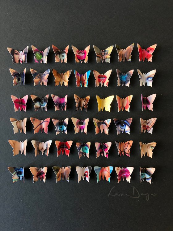 Dirty Little Butterflies