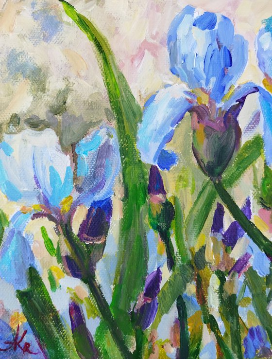 Blue irises