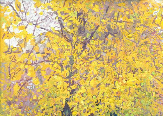 A boulevard in Maryino in the rain. October