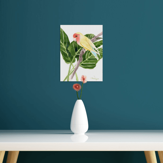 Yellow Lovebird