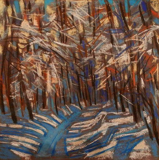 winter forest