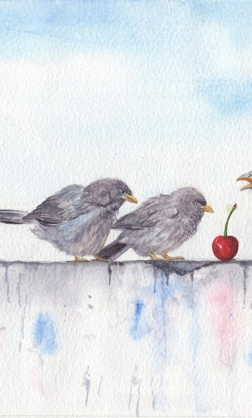 Babbler birds and the two cherries by Shweta  Mahajan
