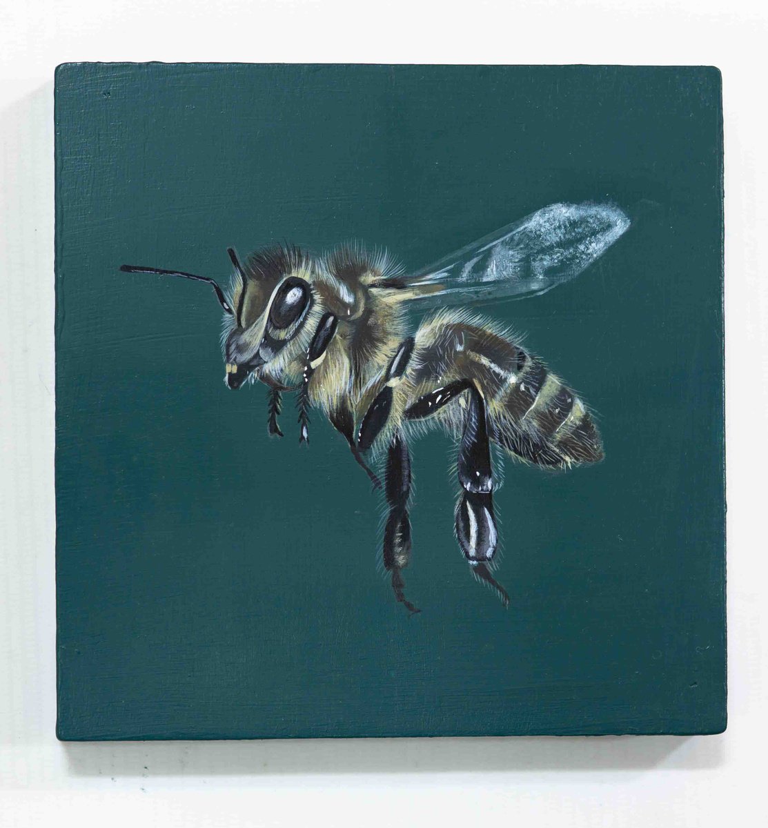 Honey Bee by Mia Hawk