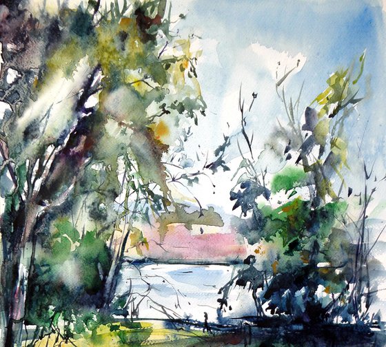 Forest with lake
