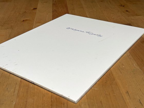 Rocky Cliffs At Cooks Beach