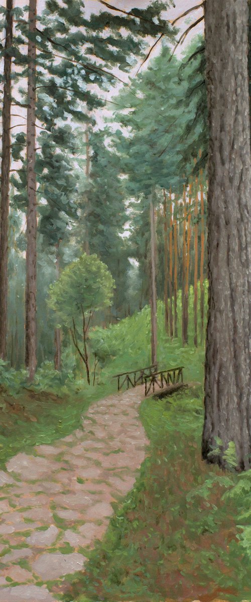 Forest Trail by Dejan Trajkovic