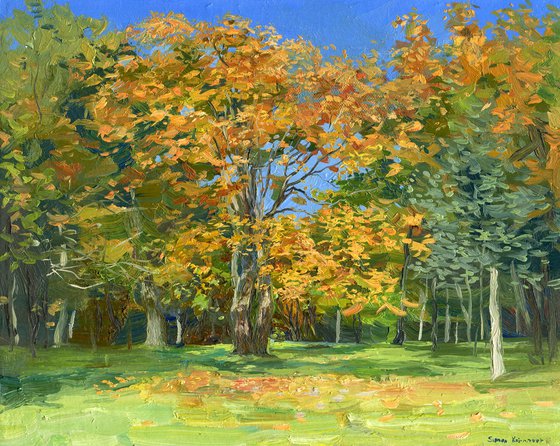 Autumn leaves
