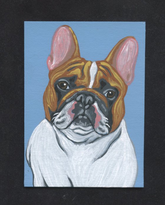 ACEO ATC Original Miniature Painting Red Pied French Bulldog Pet Dog Art-Carla Smale