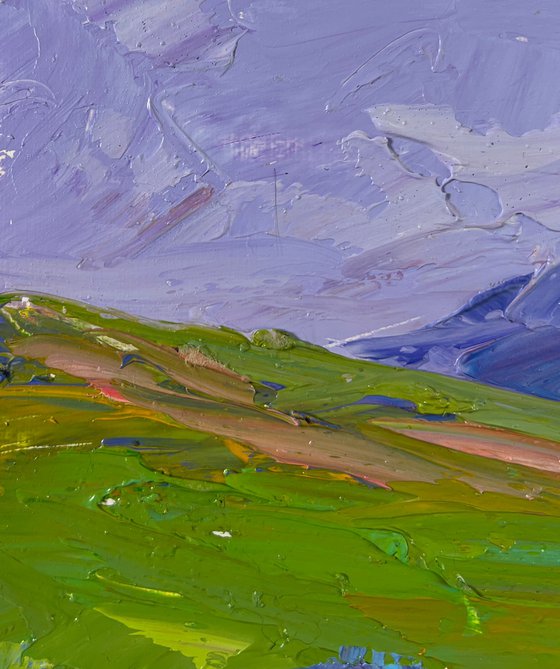 Mountain Flower Fields