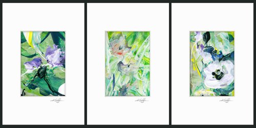 Blossoms Of Love Collection 2 - 3 Floral Paintings by Kathy Morton Stanion by Kathy Morton Stanion