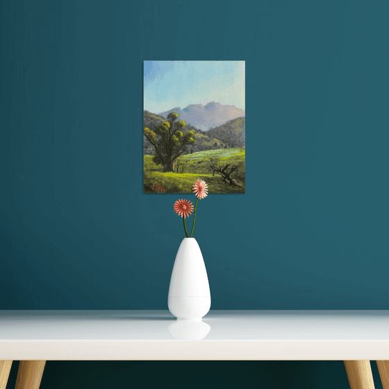 Elders Range Flinders