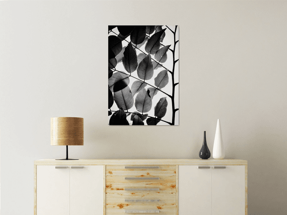 Branches and Leaves II | Limited Edition Fine Art Print 1 of 10 | 50 x 75 cm