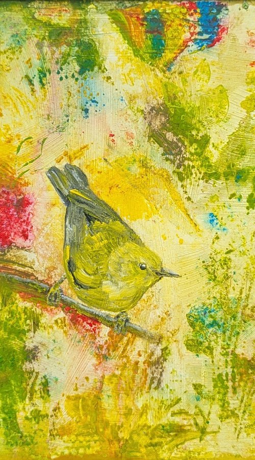 Yellow warbler bird by Wowhawk