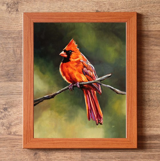 Northern cardinal bird in nature