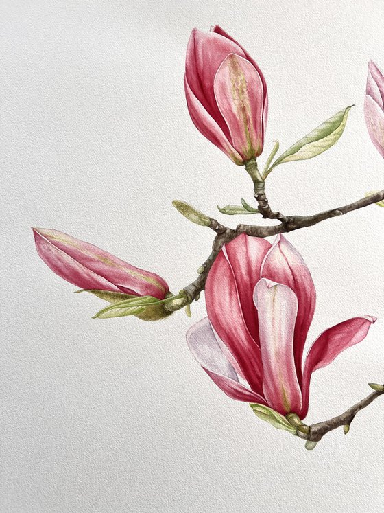 "Between tenderness and strength"