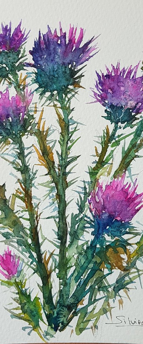 Original artwork. Small thistles by Silvia Flores Vitiello