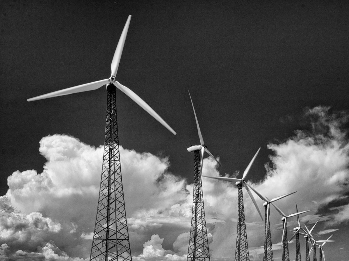 Expressive Landscape Photograph By William Dey, 26 X 20", Memories Of The Wind, Original Artwork