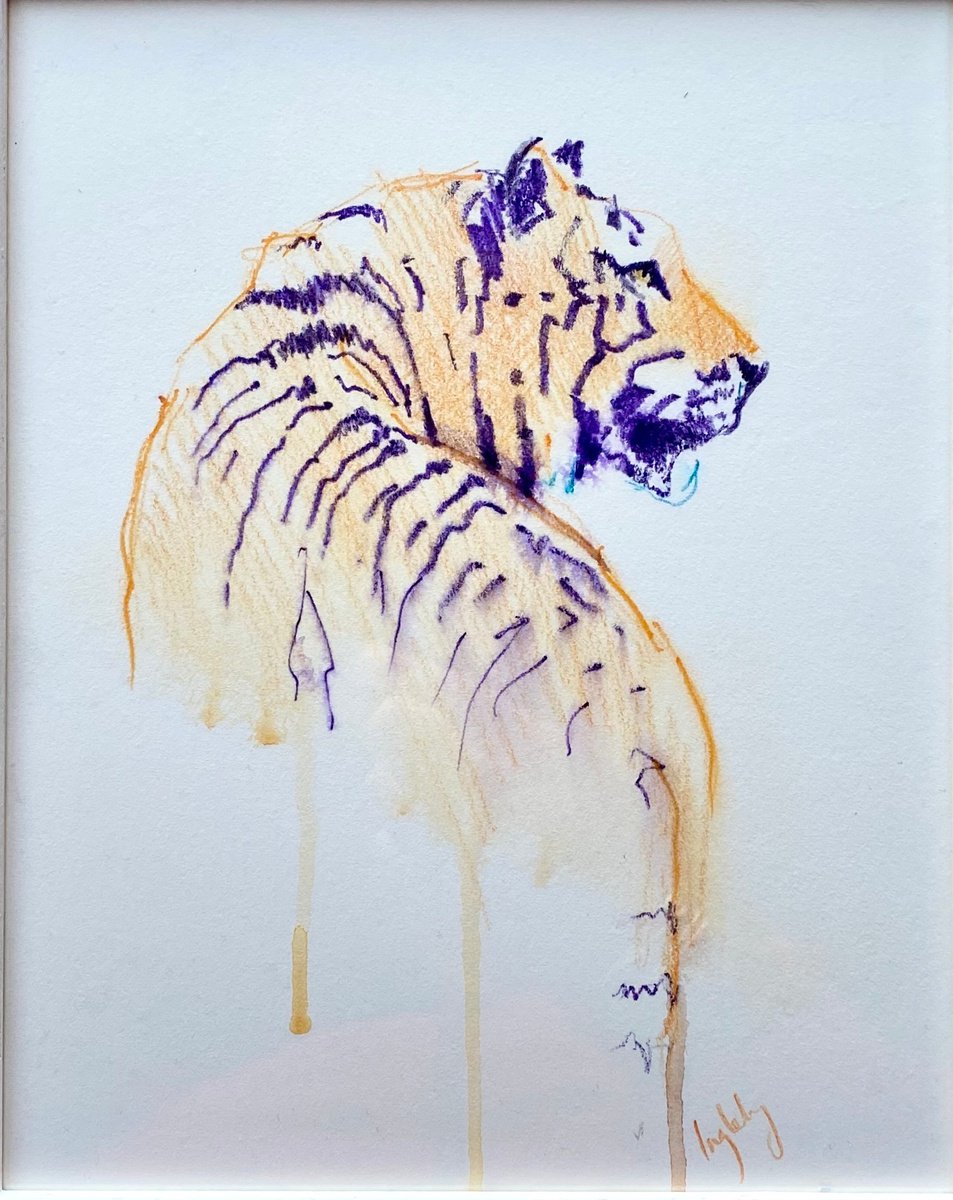 Tiger sketch by Catherine Ingleby