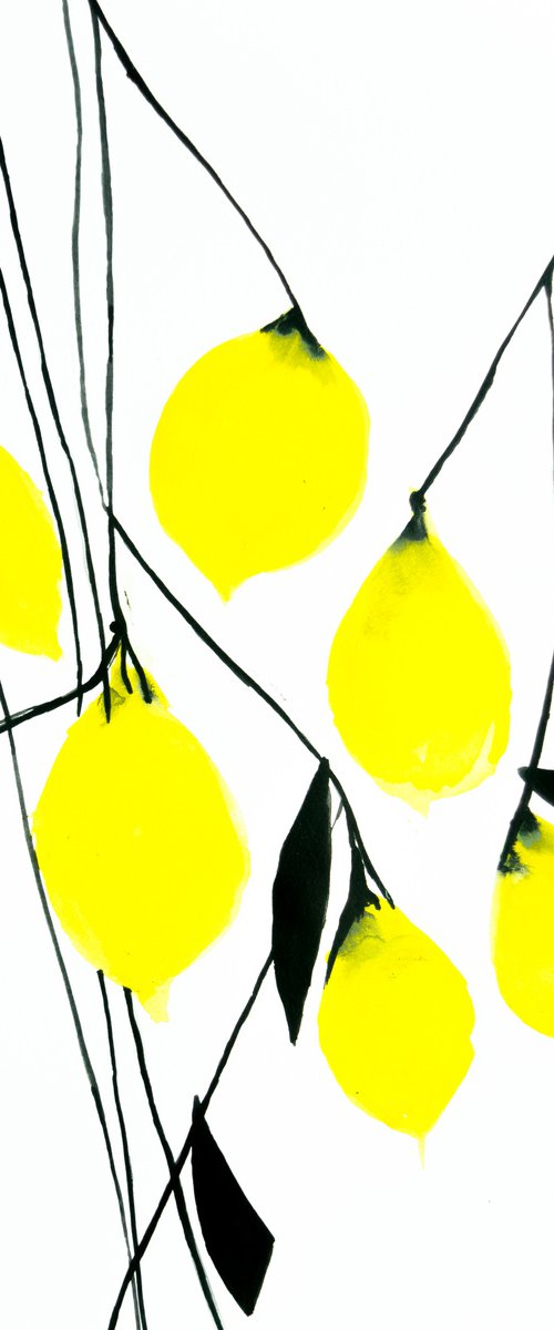 Lemon Tree by Nadia Moniatis
