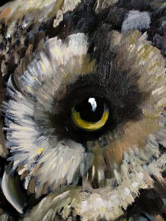 Birds Art Owl Wildlife Nature Night Bird Black & Gold Acrylic Art