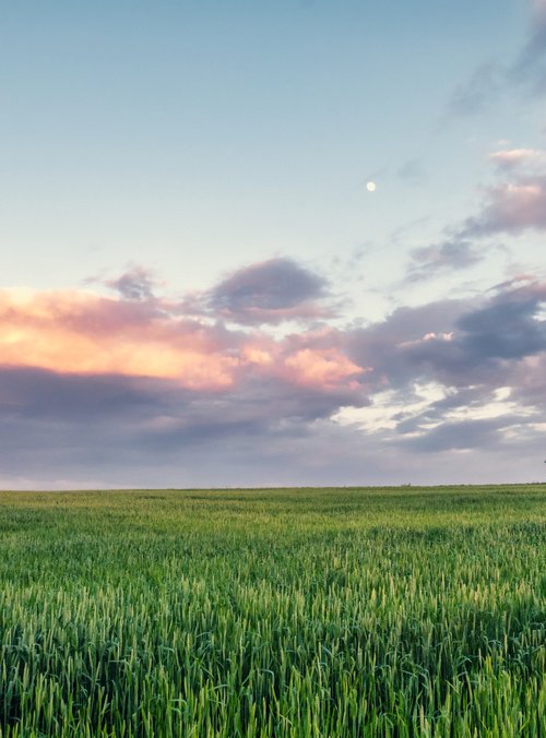 Evening Silence by Vlad Durniev