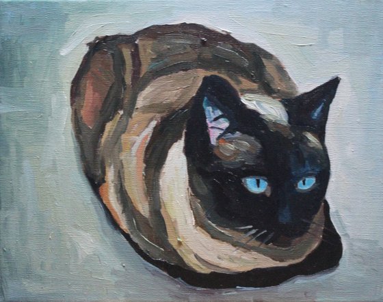 Sitting Siamese