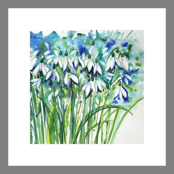 Snowdrop Clump